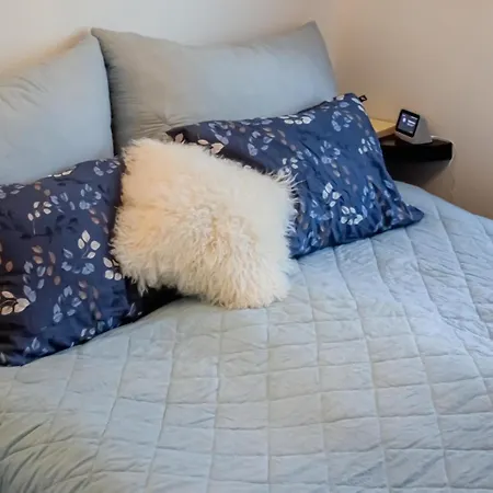 Pet Friendly In * Skien