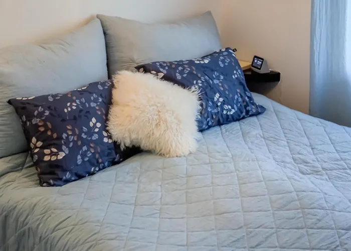 Pet Friendly In * Skien